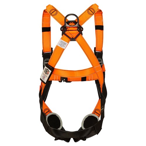 ESSENTIAL HARNESS WITH QUICK RELEASE BUCKLE- MAXI (XL-2XL)